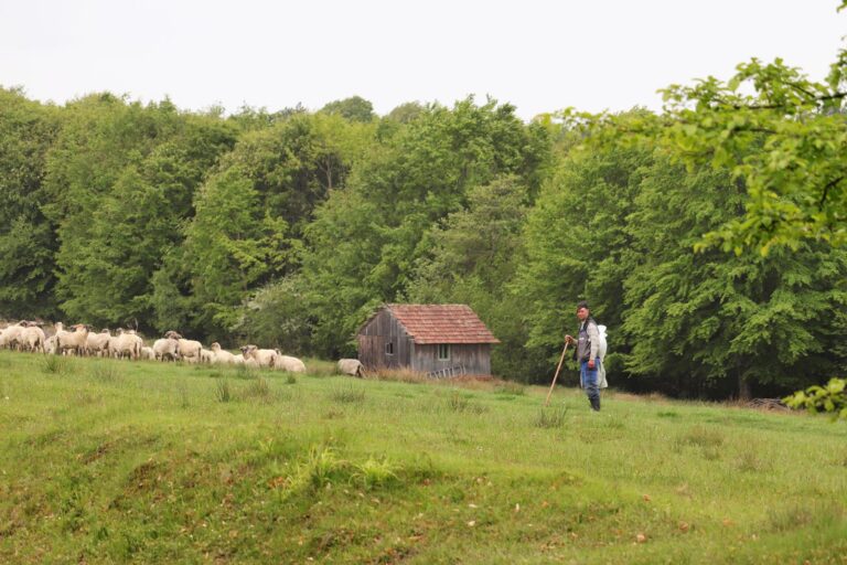 O comunitate care își păstrează sufletul prin tradiție